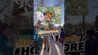 Monarch/Milkweed Guerrilla Gardening #hopecore