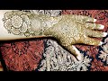 Best Bridal hand art designs | Sristy art gallery | beautiful mehadi designs