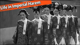 Unveiling Life in the Ancient Chinese Imperial Harem