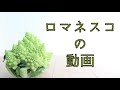 【中学校　数学】3年 7章 2　三平方の定理の逆ってたったそれだけのことか。