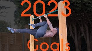 Year Of The Front Lever | 2023 Calisthenic Goals Vlog