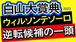 【白山大賞典2023予想・データ分析・全頭診断】ウィルソンテソーロ逆転候補の一頭！ペイシャエス、メイショウフンジン、ケイアイパープルなど参戦。