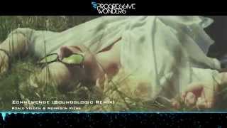 Roald Velden \u0026 Morrison Kiers - Zonnewende (Soundslogic Remix) [Music Video] [Perplexity Music]