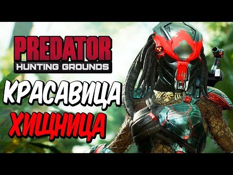 Predator: Hunting Grounds — КРАСАВИЦА ХИЩНИЦА УНИЧТОЖАЕТ ВСЕХ НА СВОЕМ ПУТИ ИЗ ПЛАЗМА-ПУШКИ!