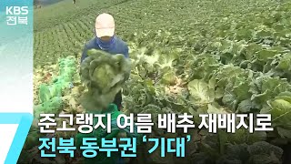 준고랭지 여름 배추 재배지로 전북 동부권 ‘기대’ / KBS  2023.09.07.