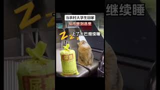 当农村大学生回家 #喵不可言 #funny #cat #猫meme #喵 #喵星人 #cute #貓 #大学生 #shorts