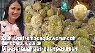 HARI KAMIS MASIH TENTANG HARGA DURIAN JENGKOL PETTE ALPUKAT DI PASAR BUAH PASREPAN | pintar\