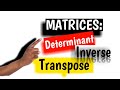 Matrices: Determinant, Inverse and Transpose || playMath