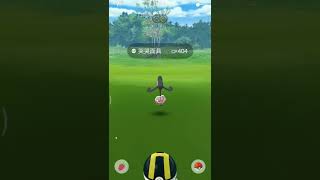 Pokémon go 萬聖節活動33元哭哭面具調查筆記 八連開 能否遇到色違呢part2