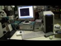 palm laser microdissection zeiss microscope axiovert 200m