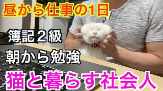 猫と暮らす社会人の日常【仕事前の勉強ルーティン】【猫と遊ぶ】簿記２級