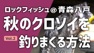 ロックフィッシュ＠青森八戸 秋冬のクロソイ爆釣【後編 釣り方メソッド解説編 】11月12月のクロソイに効くキワ釣りはコレ！漁港テクトロ爆釣方法