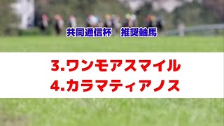 共同通信杯2025の推奨軸馬【最終結論】