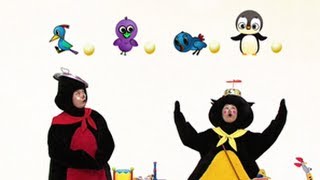 penguintalk, 하늘을 나는 펭귄