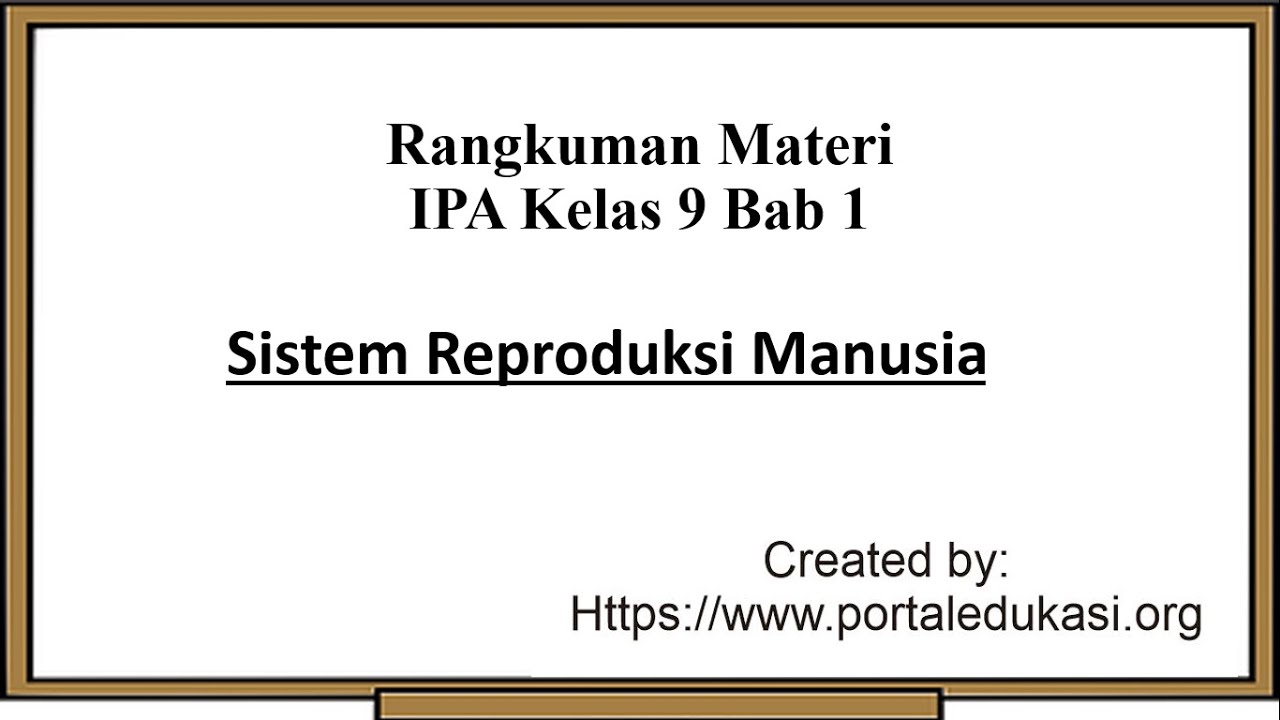 Rangkuman Materi IPA Kelas 9 Bab 1 | Sistem Reproduksi Manusia - YouTube