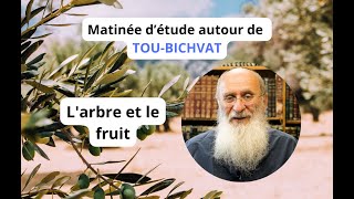 Découvrir la symbolique de l'arbre et du fruit à l'occasion de Tou-Bichvat