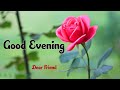 GOOD EVENING video