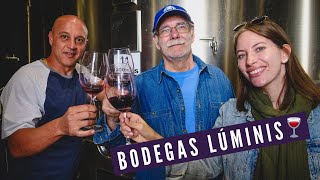 TOUR DE VINOS y VIÑEDOS en Mendoza, Argentina 🍇 | Visitando BODEGAS LÚMINIS en Maipú 🍷