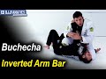 Inverted Arm Bar by Marcus Buchecha Almeida