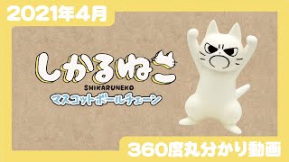 【Qualia・2021年4月商品】「しかるねこ マスコットフボールチェーン」