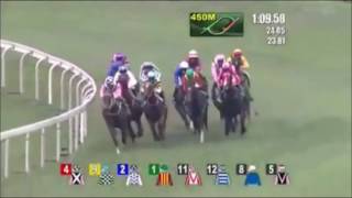 豪快速　モ－リス　圧勝！香港 チャンピオンズマイル戦！！