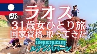 【アラサー女1人旅】ラオス/象使いの資格取ってきた/ルアンパバーンで何する？/非日常体験のマホートのツアーがおすすめ！#mahout #laos #vlog