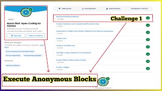 Execute Anonymous Blocks | Quick Start Apex Coding for Admins | Challenge 1