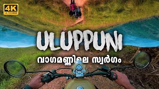 Uluppuni - Sunset View | Vagamon | Idukki | Kerala