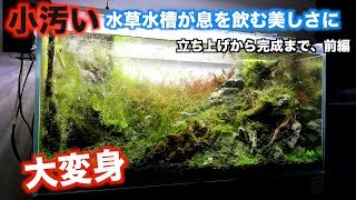 「小汚い」水草水槽が息を飲む美しさになった理由。立ち上げから完成まで、前編