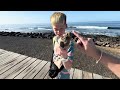 morning beachfront walk u0026 catchup in las americas tenerife 28 12 2024 beautiful weather ☀️