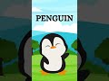 learn animals name animals kidslearning animal kids kidsanimals