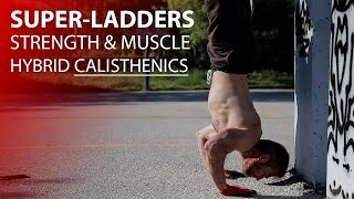 Calisthenics Super-ladders | Strength & Hypertrophy Hybrid Workout