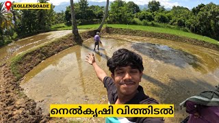 Paddy Field | നെൽകൃഷി വിത്തിടൽ മുതൽ കൊയ്ത്തു വരെ | EP 1 #Kollengoad