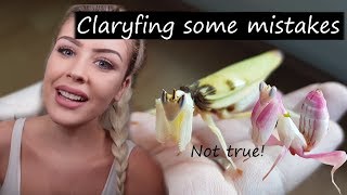 Taylor Nicole Dean's Orchid Mantis | So much misinformation