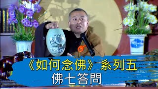 《如何念佛》之五：佛七答问   佟爱国老师