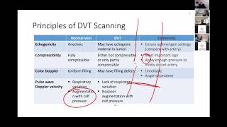 Vascular ultrasound