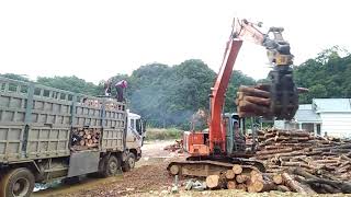 Máy gắp gỗ lên xe 4 chân nhanh nhất...The excavator picks wood onto the truck