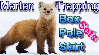 Marten Trapping Methods Fully Explained  Sets Focus on Trapping