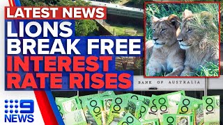 'Significant breach' at Taronga Zoo, Ongoing inflation hikes, RBA boss warns | 9 News Australia