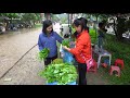 harvesting jackfruit u0026 vegetable spinach go to market sell cooking tiểu vân daily life