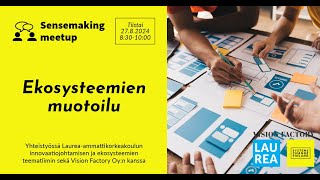 Sensemaking meetup 27.8.2024: Ekosysteemien muotoilu