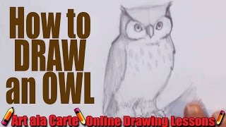 How to draw an Owl