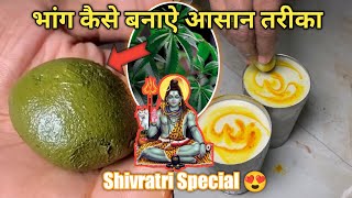 How to cannabis is prepared ??🤔🤔 भांग कैसे तैयार की जाती है  #bhang #shivratri #happyshivratri