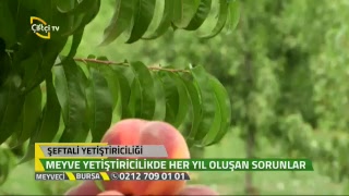 Çiftçi Tv Canlı Yayın