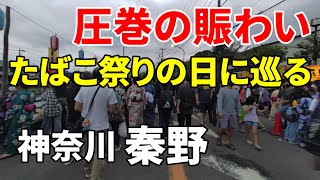 【圧巻の賑わい】神奈川 秦野～2022年たばこ祭りの日に巡る名水の街 Kanagawa Hadano