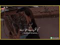 best pakistani urdu status song ost drama pakistani urdu song status lyrics saher ali bagga ost