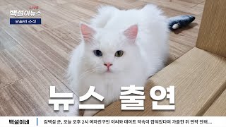 백설이가 9시 뉴스에 출연했어요