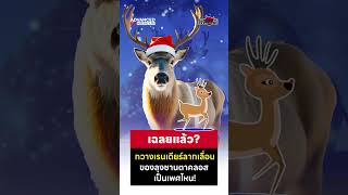 Sarcastic Analysis : เฉลยแล้ว? กวางเรนเดียร์ลากเลื่อนของลุงซานตาคลอส เป็นเพศไหน!