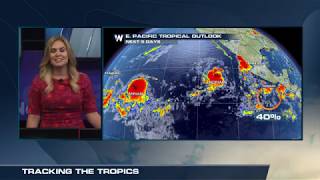 WN Forecast 08 29