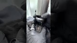 SCATTER scalp semipermanent top of the head